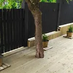 Kaola