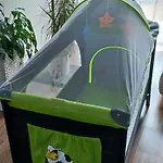 Kaola Jelenia Gora