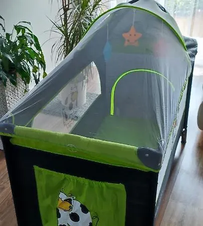 Kaola ילנייה גורה